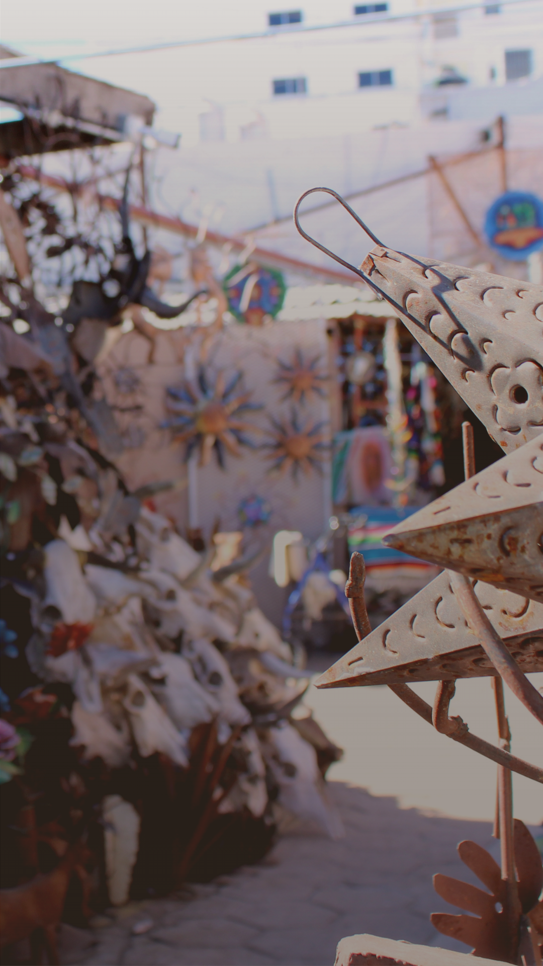 Banner principal vertical